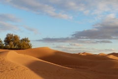 SAMSUNG DIGITAL CAMERA